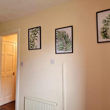 Yuriko Villa Saint Davids  Dış mekan fotoğraf